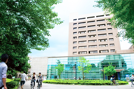 熊本大学 医学部 医学部